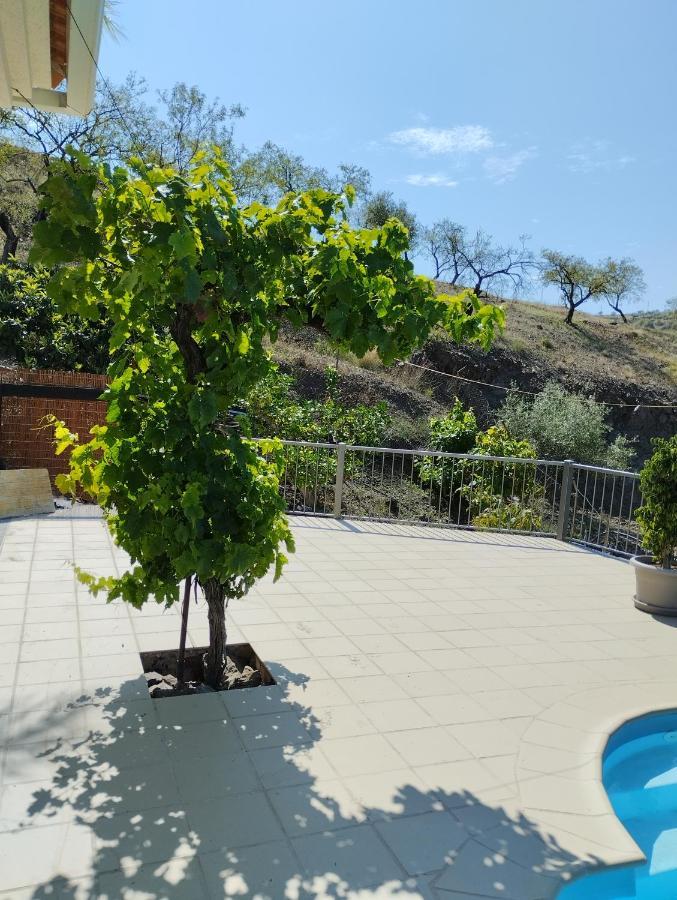 Villa Las Vinas マラガ エクステリア 写真